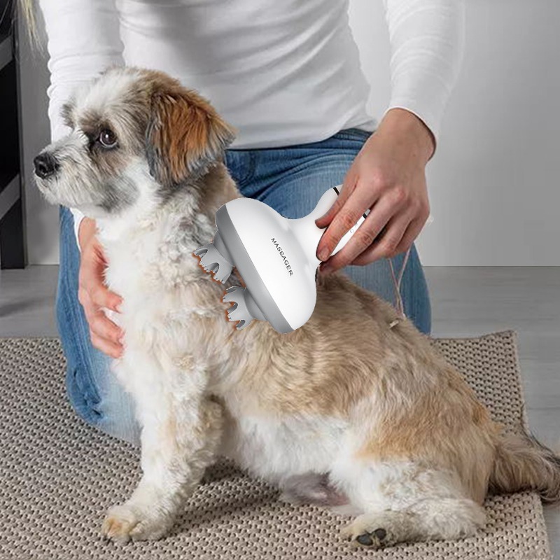 Massageador Elétrico Sem Fio e - Hair Scalp Massager avaliação e preço